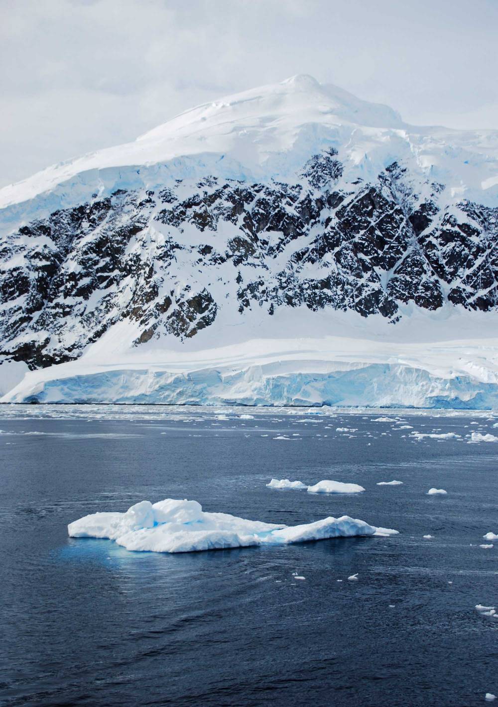 69276 antarctique