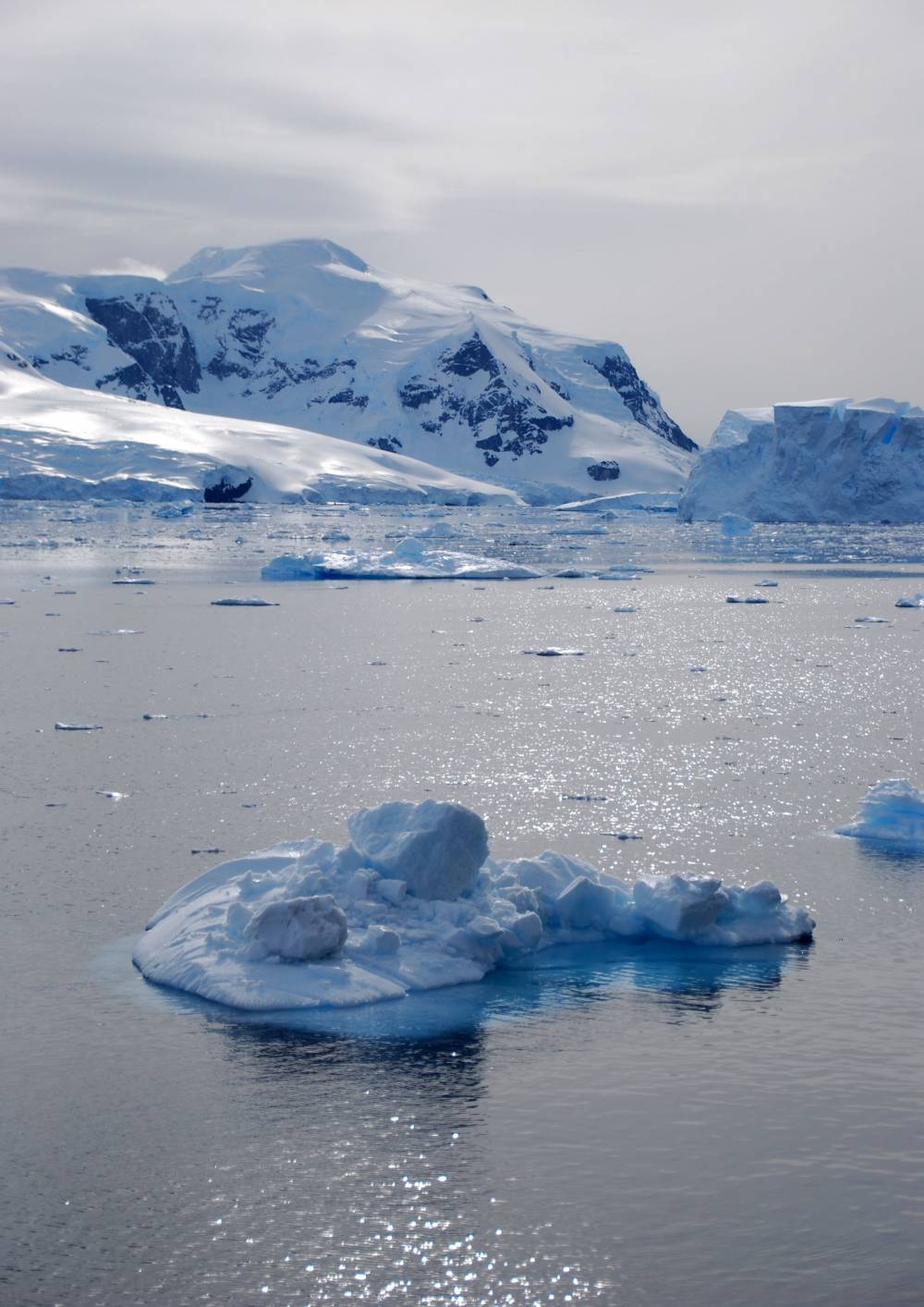 69282 antarctique