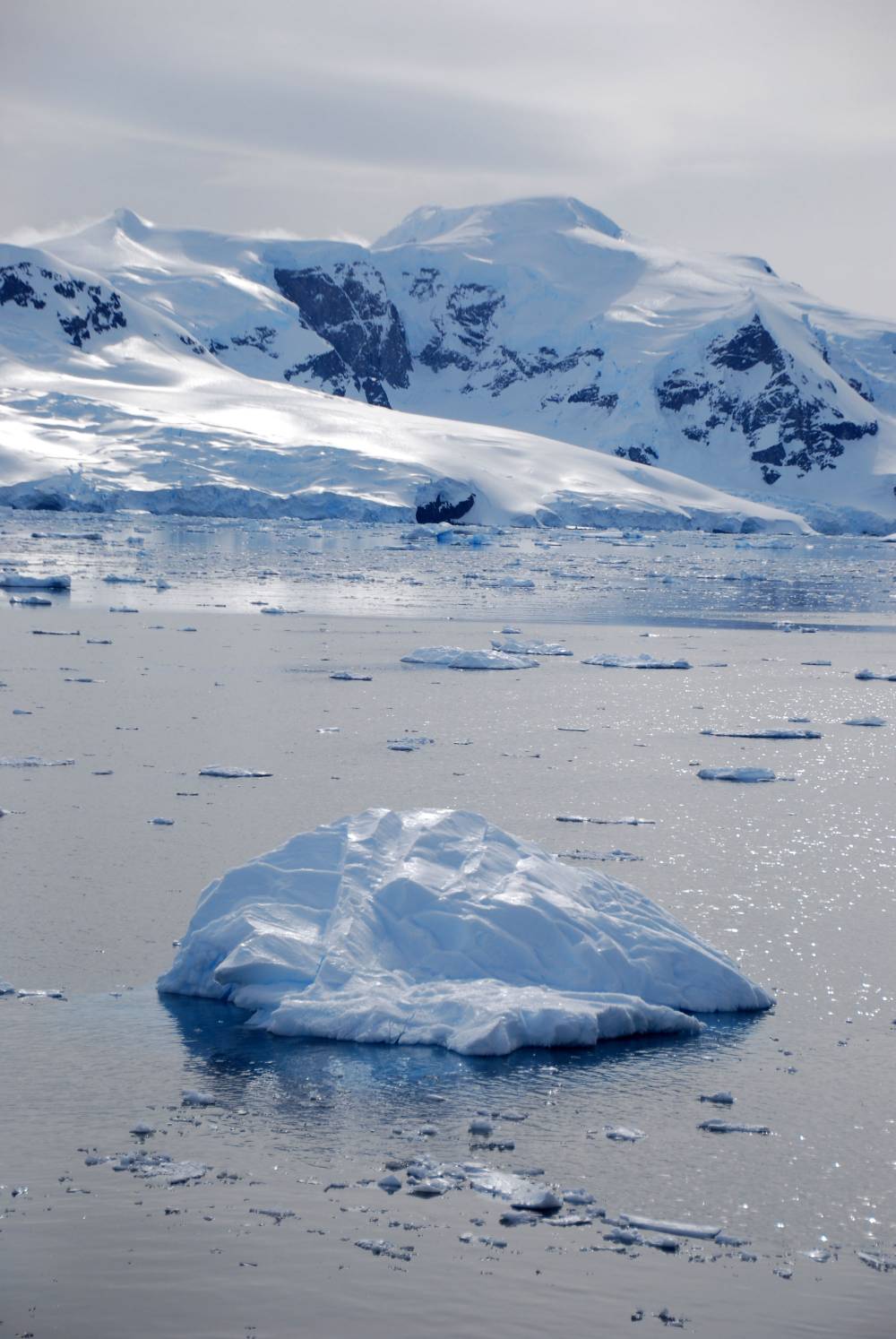 69285 antarctique