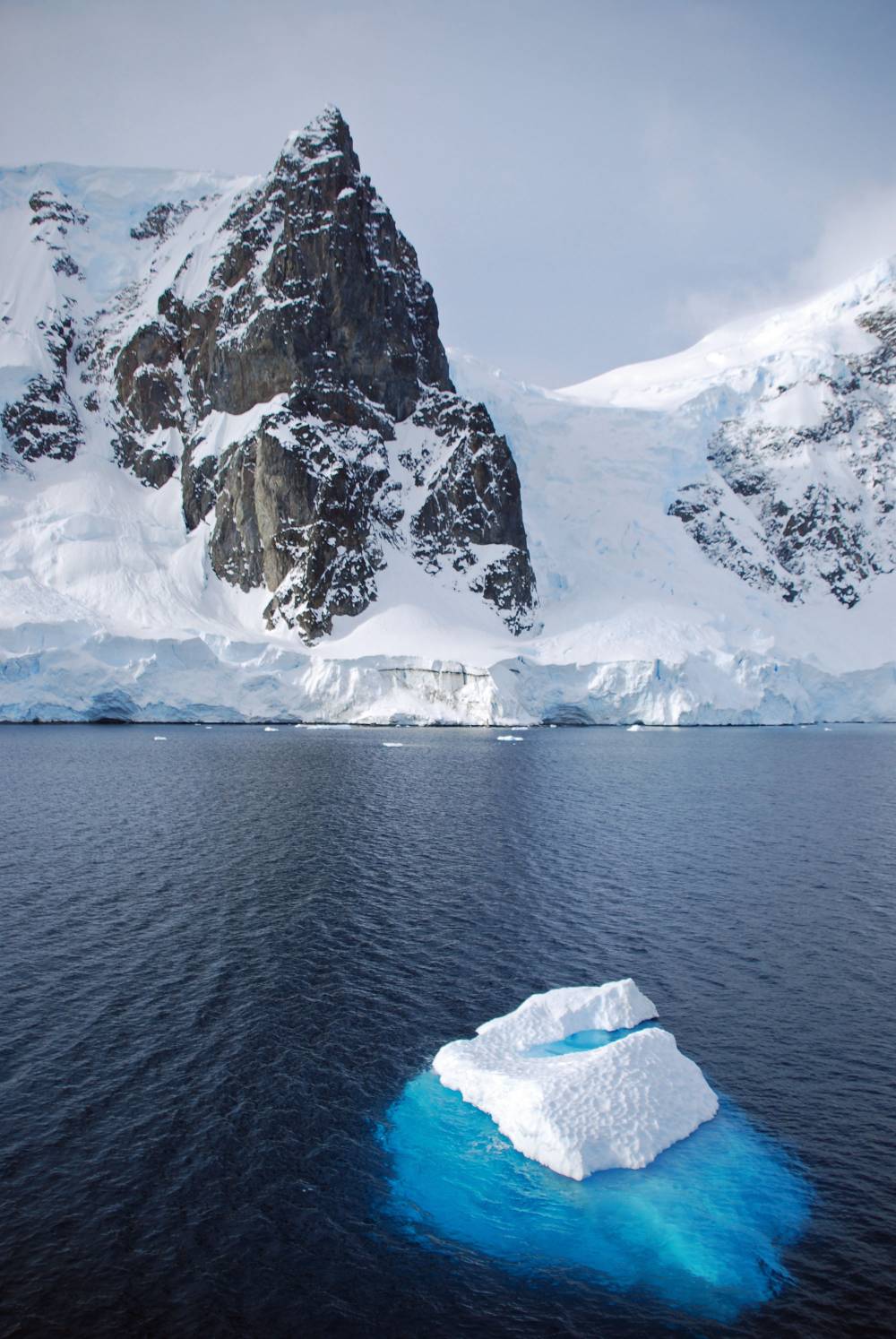 69288 antarctique