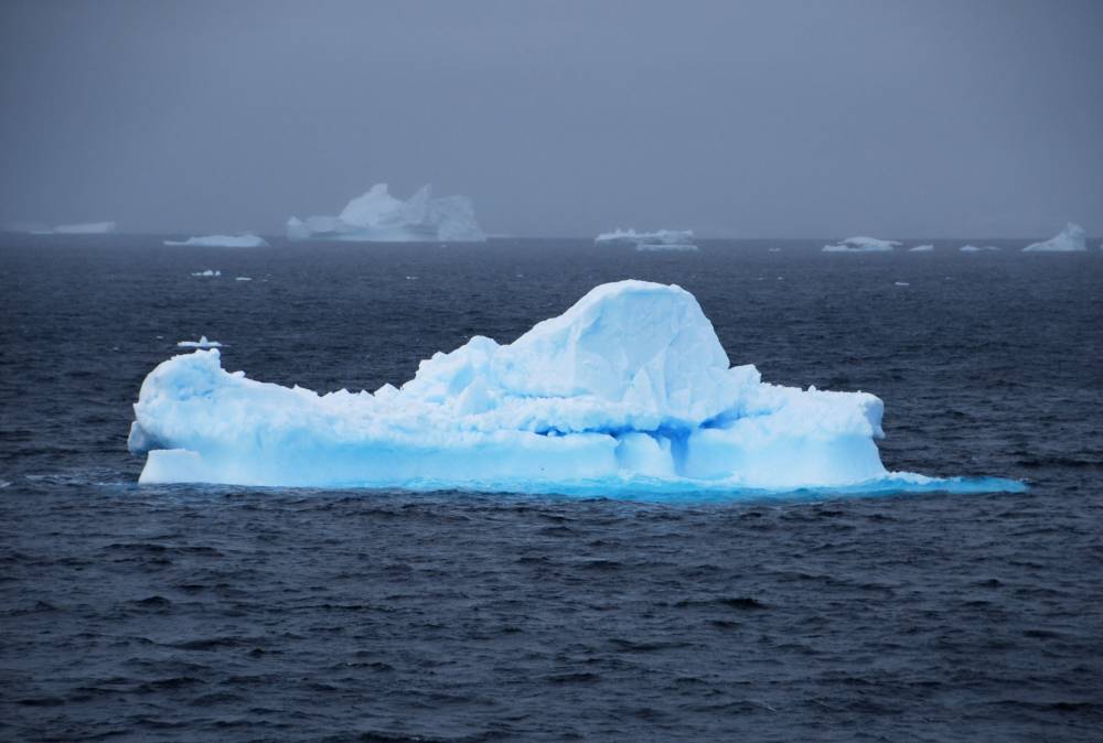69301 antarctique