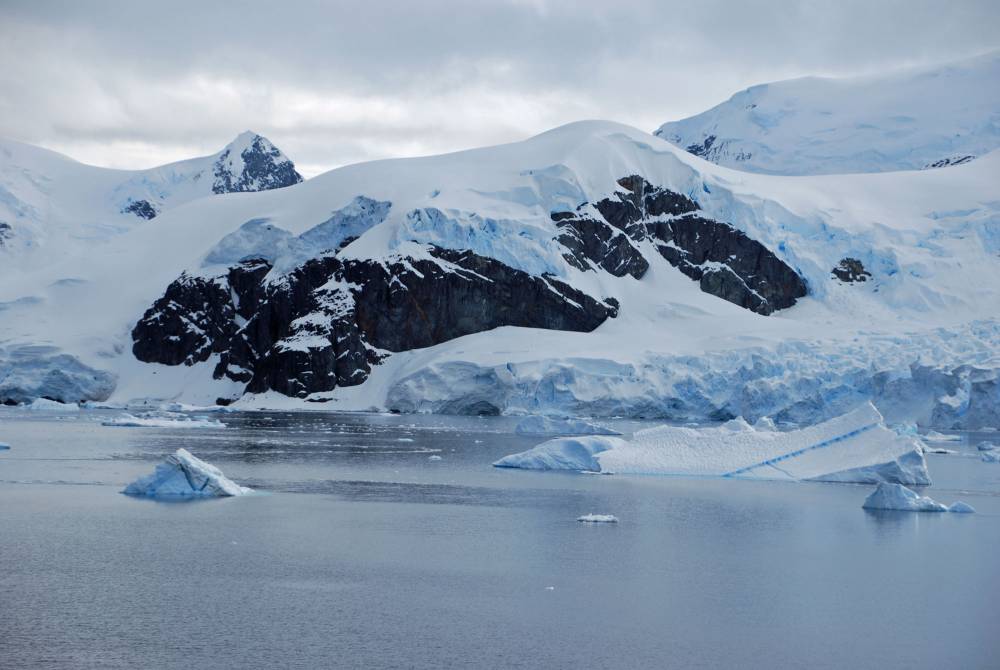 69334 antarctique