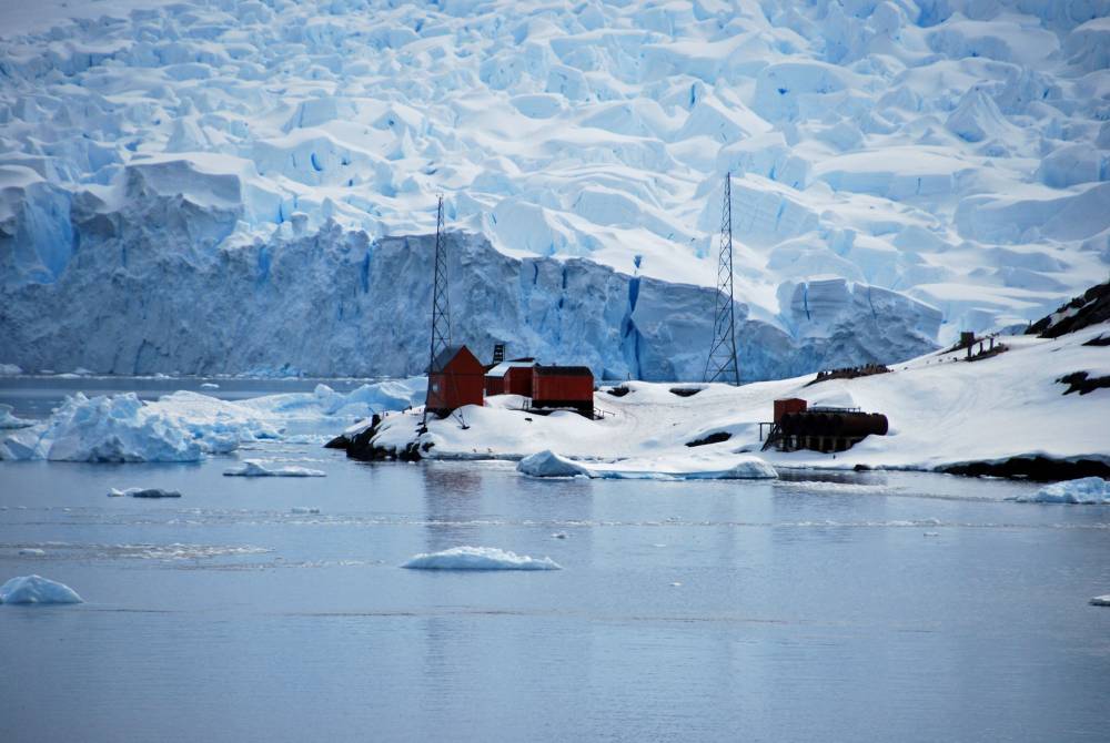 69335 antarctique