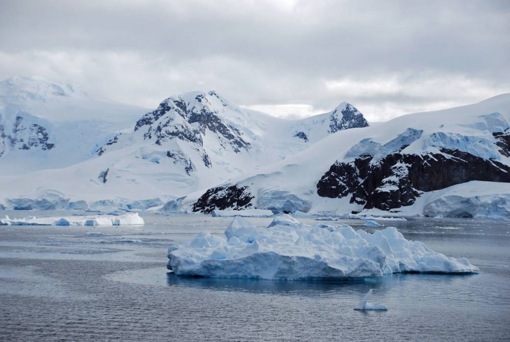 69336 antarctique