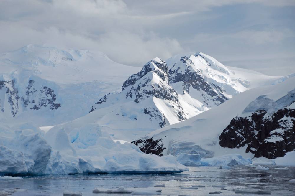 69342 antarctique
