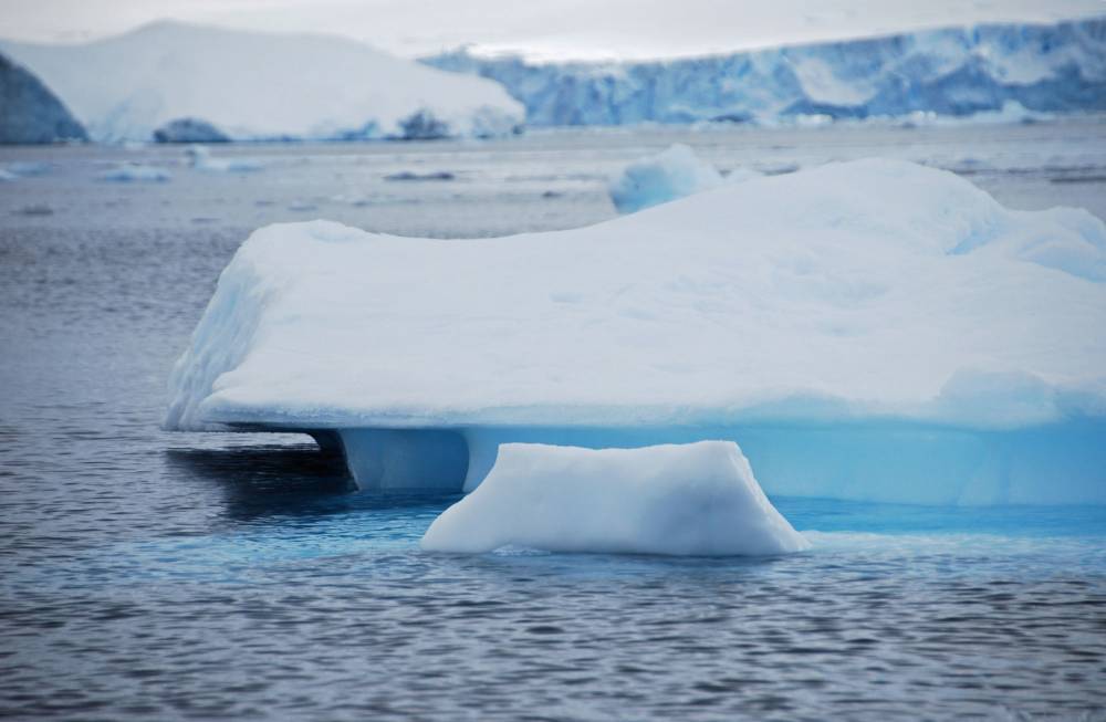69349 antarctique