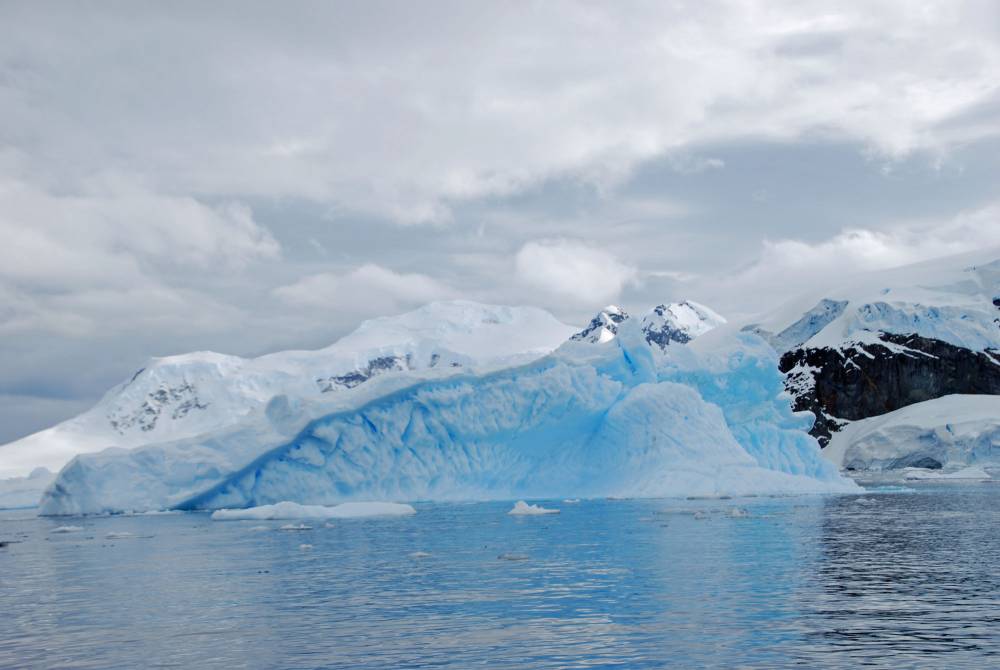 69352 antarctique