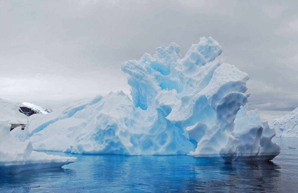 69365 antarctique