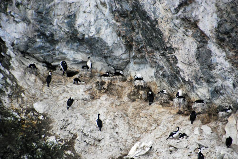 69367 antarctique
