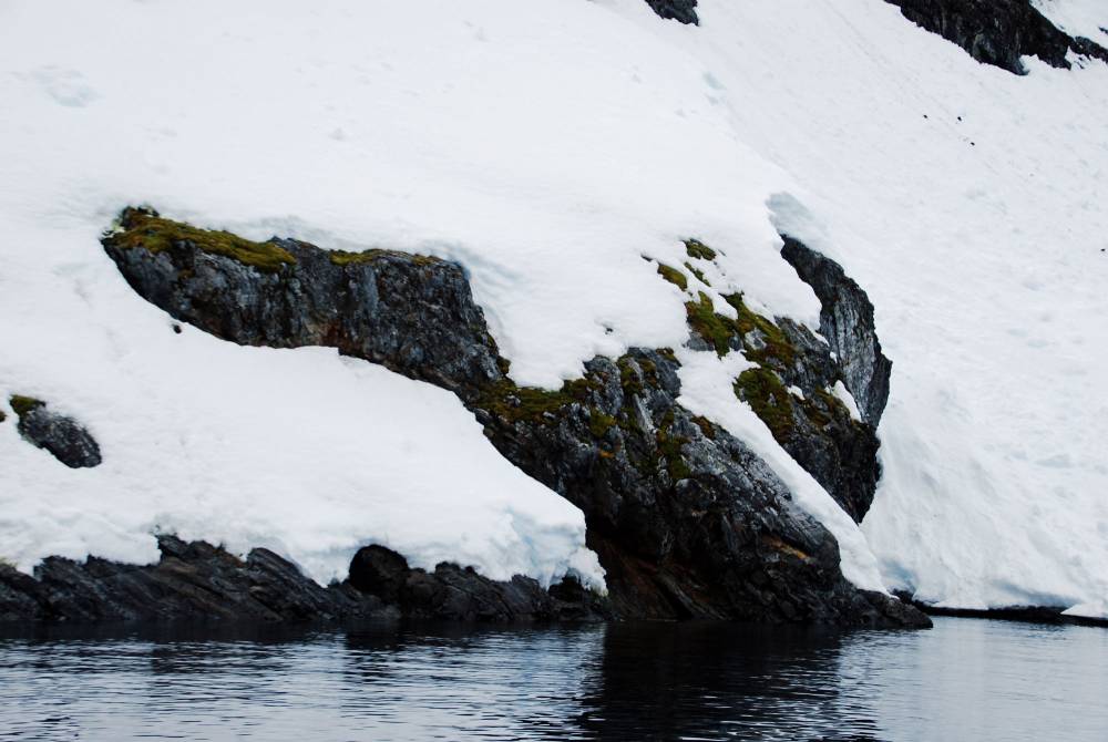 69369 antarctique