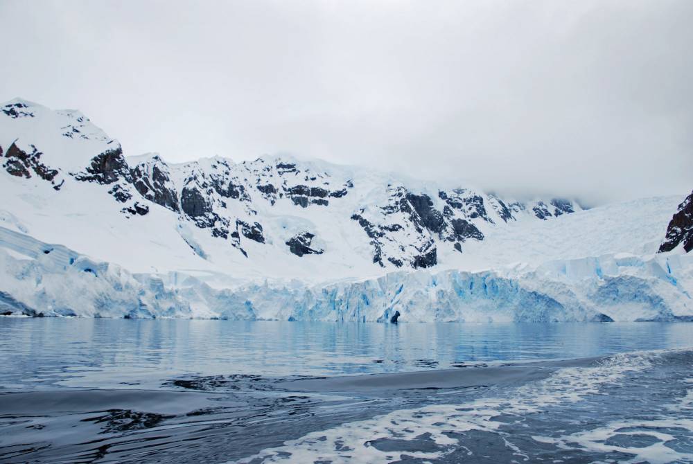 69380 antarctique