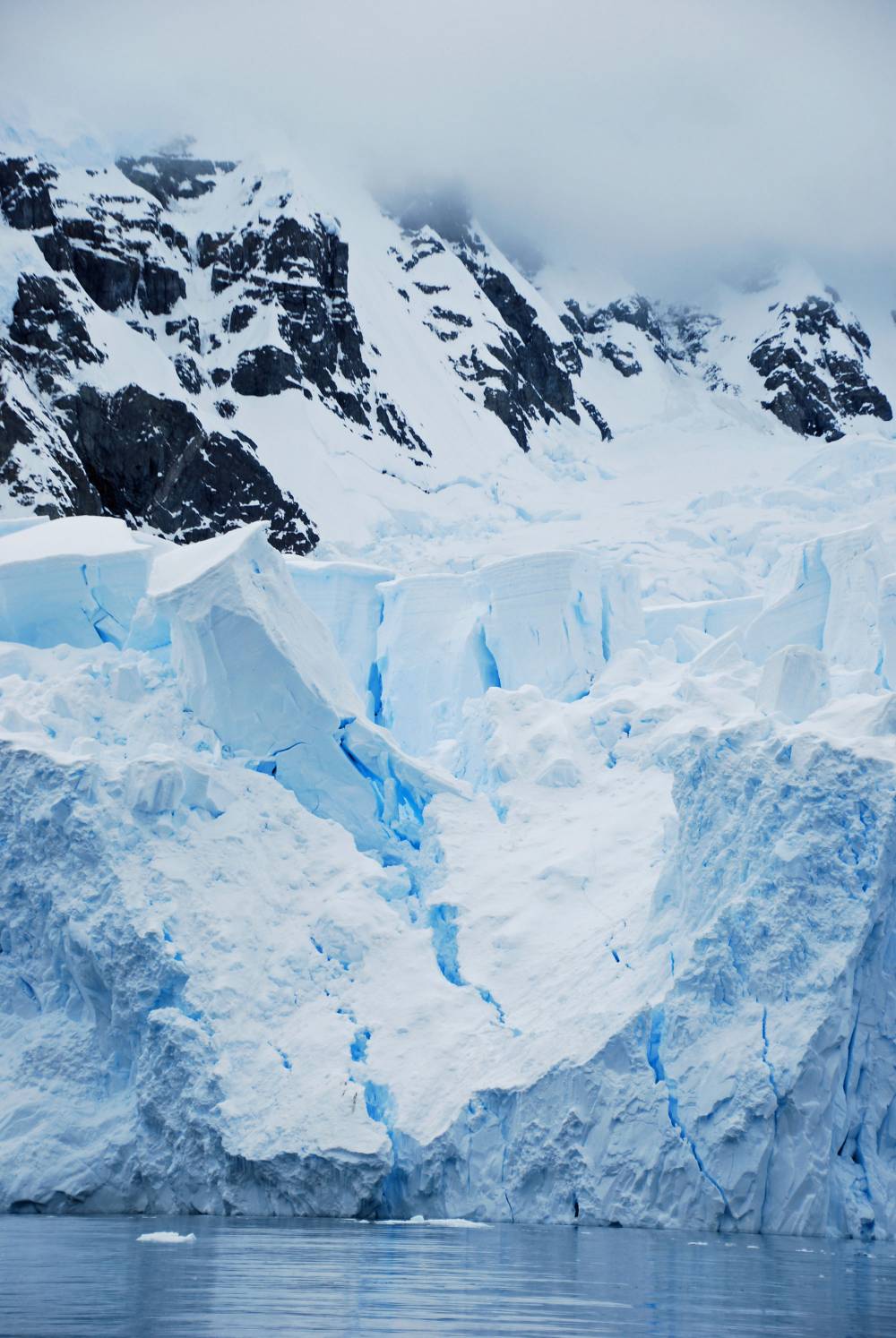 69389 antarctique