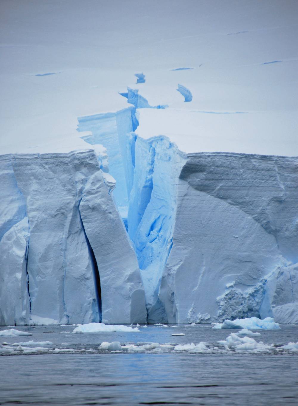 69391 antarctique