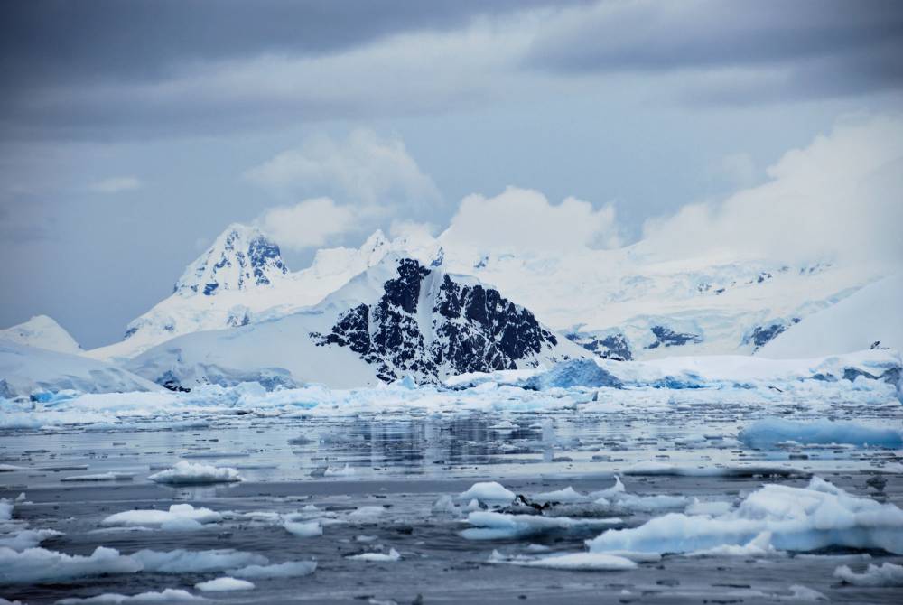 69412 antarctique