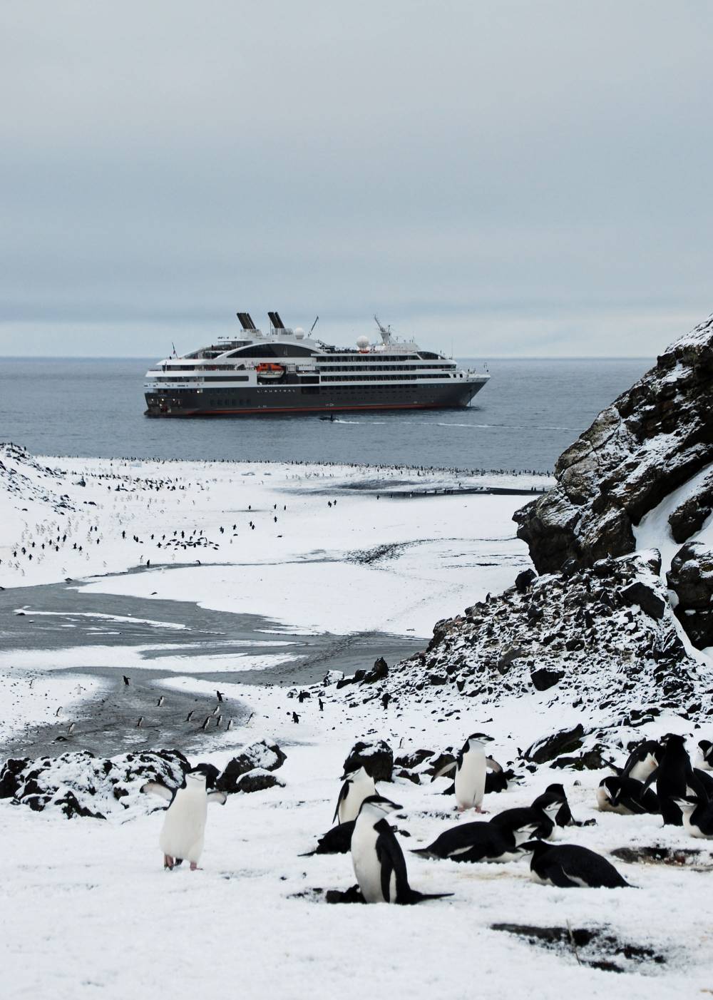 69493 antarctique ile de la deception