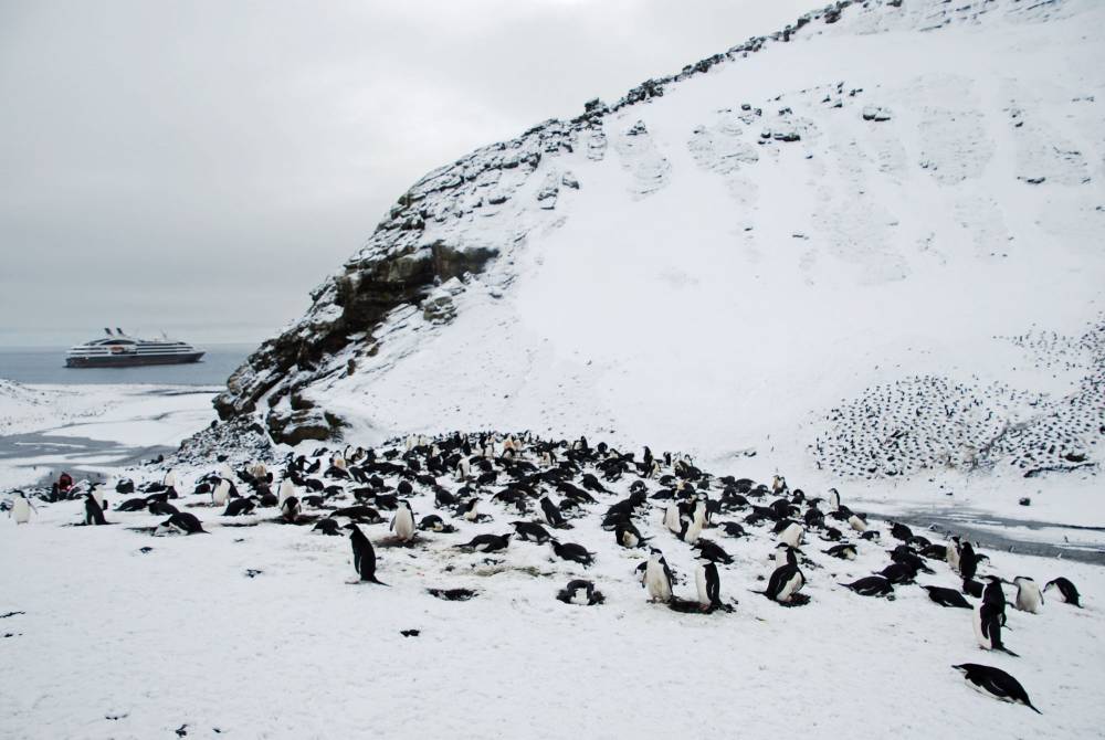 69504 antarctique ile de la deception