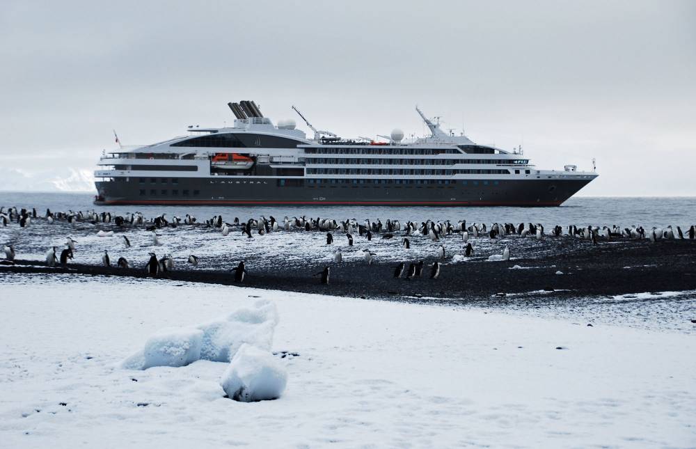 69552 antarctique ile de la deception