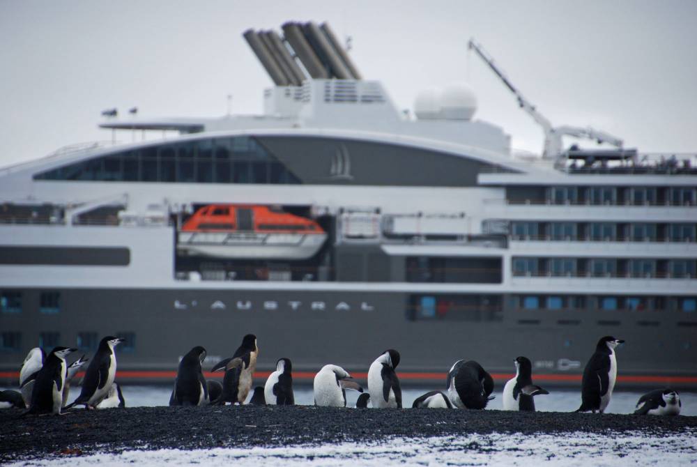 69553 antarctique ile de la deception
