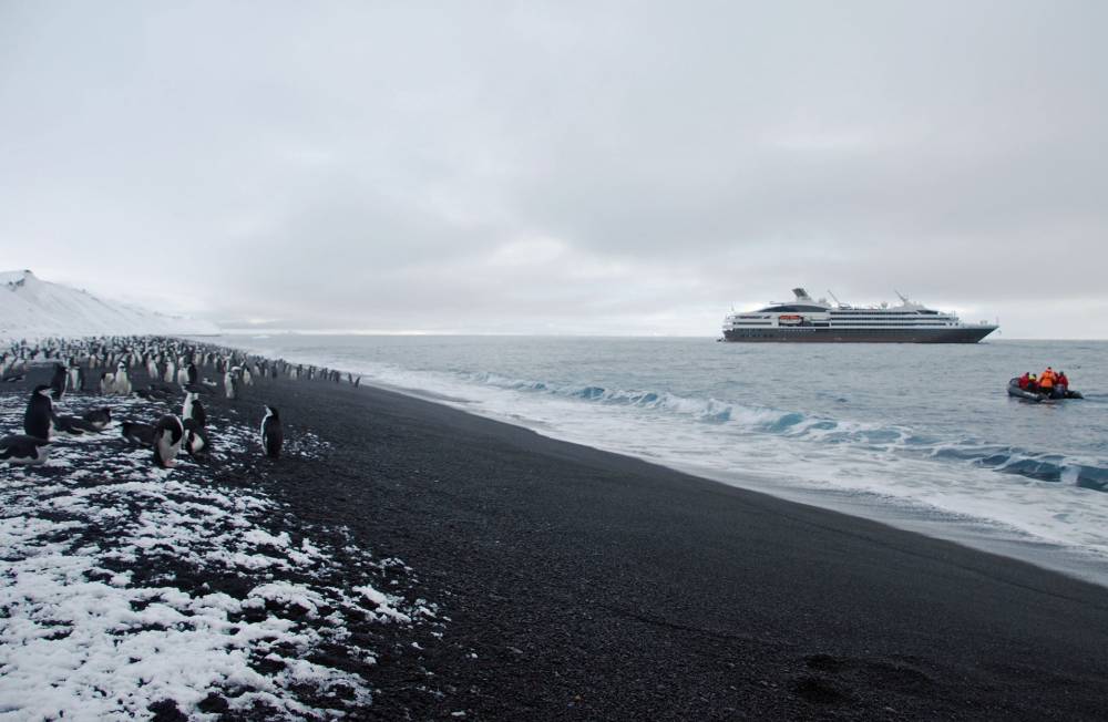69562 antarctique ile de la deception
