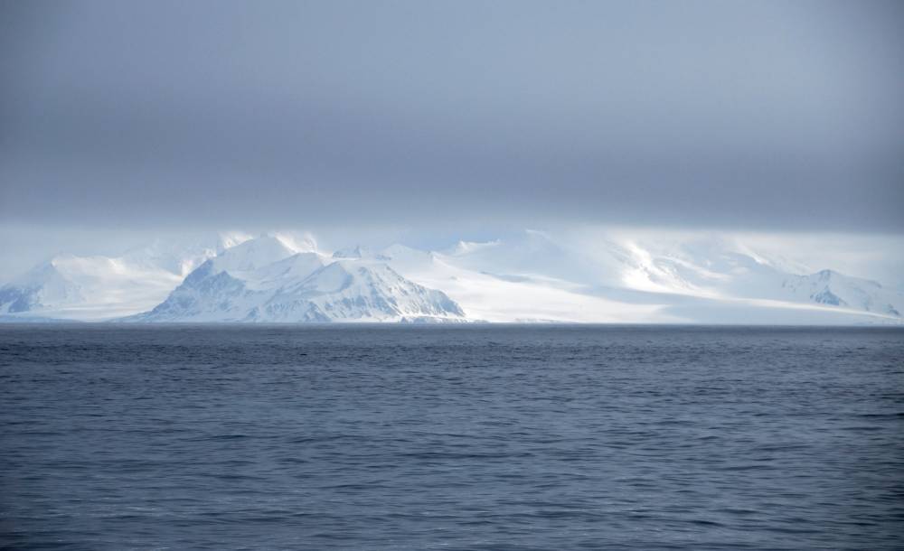 69565 antarctique ile de la deception