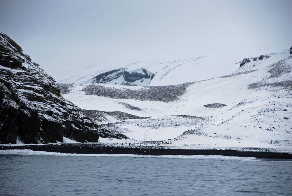 69633 antarctique ile de la deception
