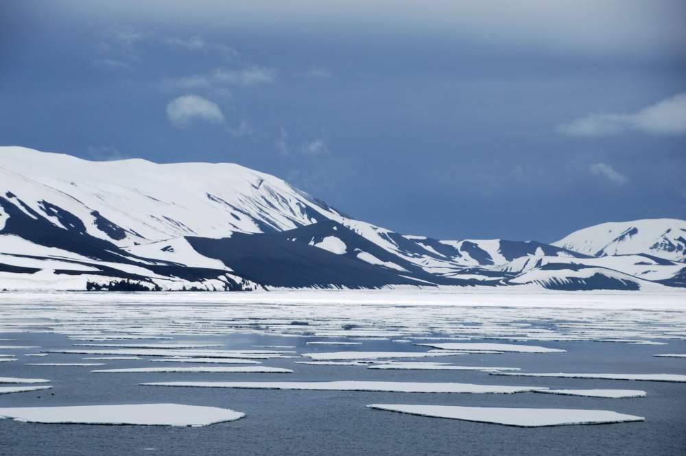69656 antarctique ile de la deception
