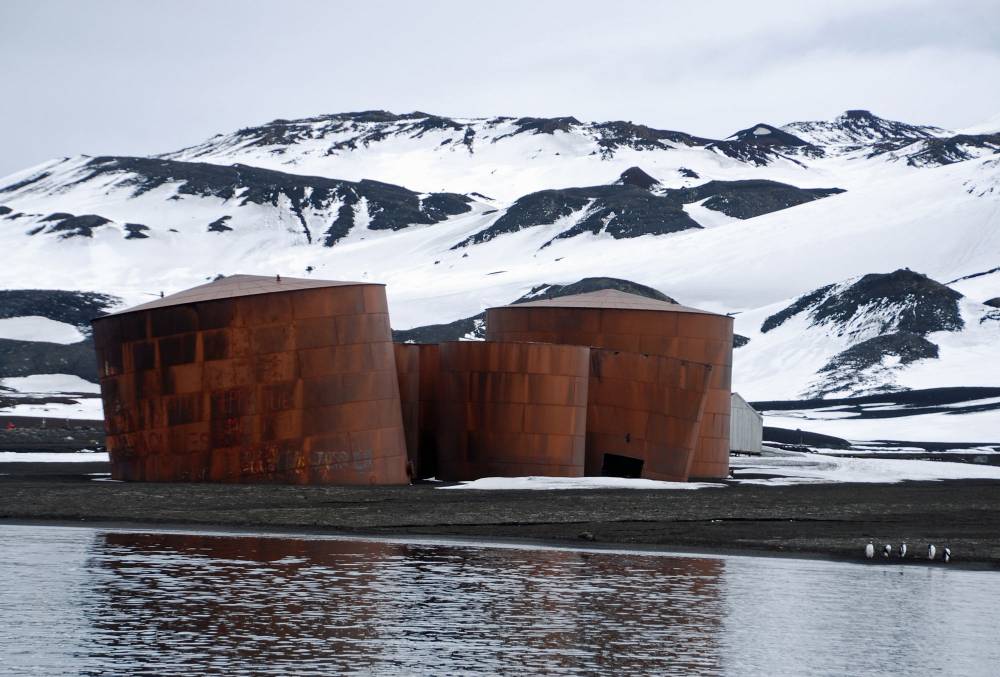 69677 antarctique ile de la deception
