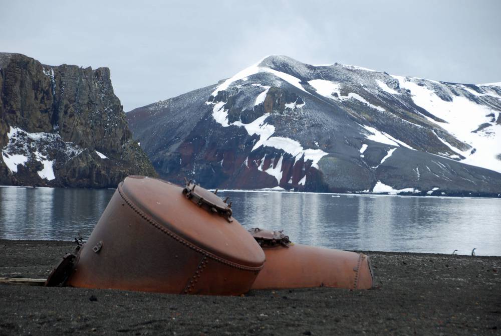 69685 antarctique ile de la deception