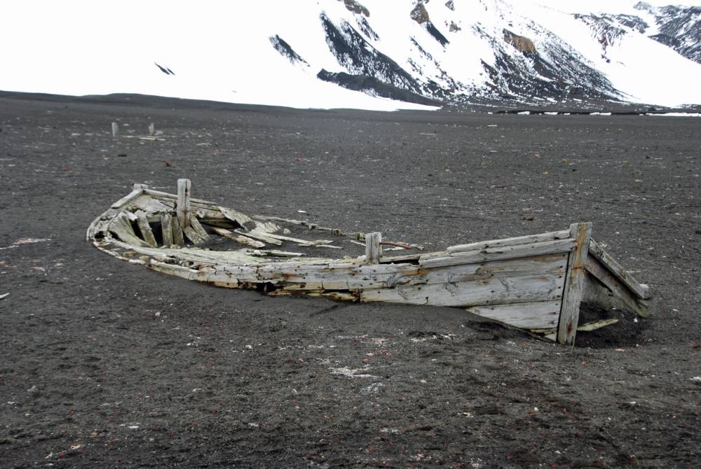 69699 antarctique ile de la deception