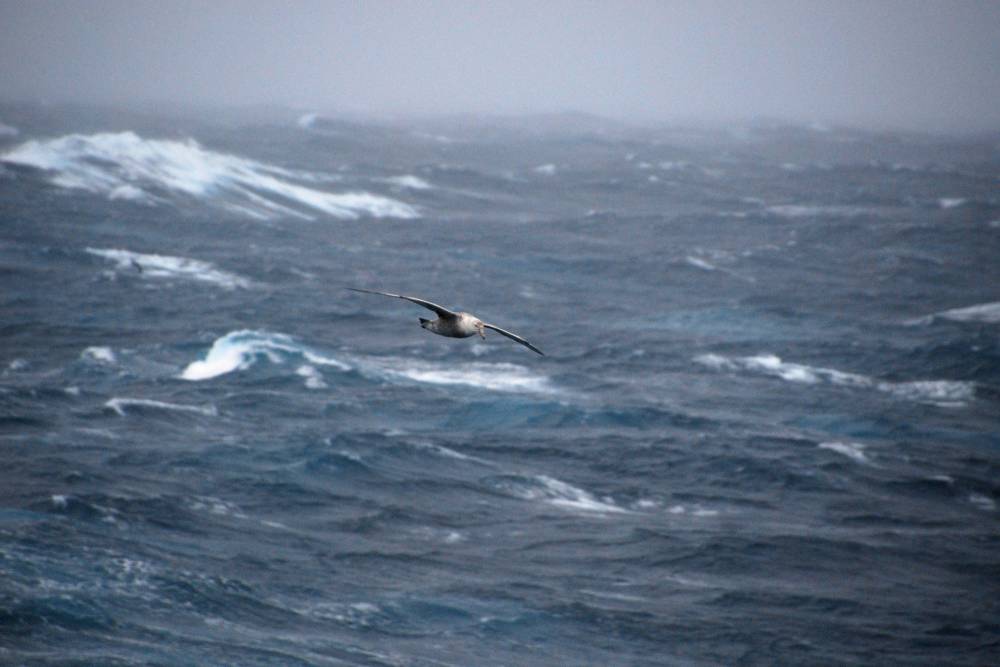 70017 antarctique drake