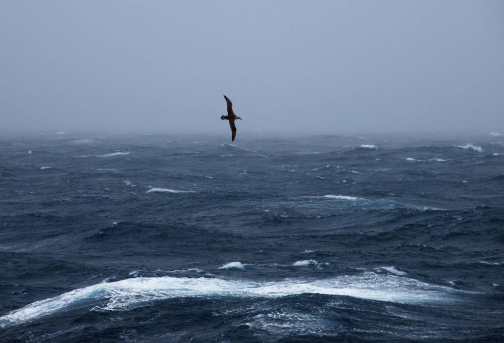 70020 antarctique drake