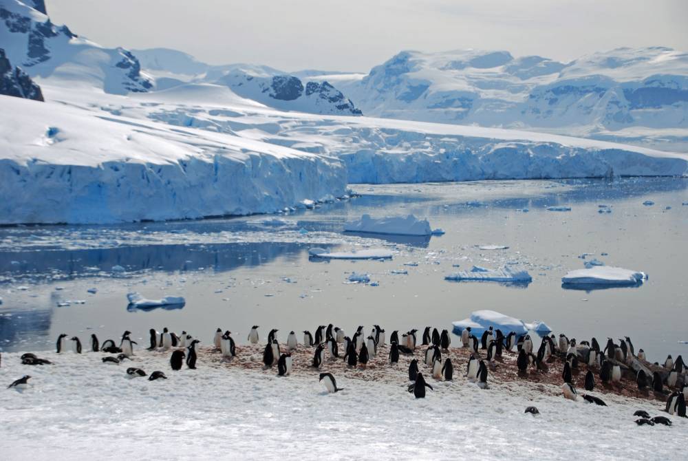 70041 antarctique