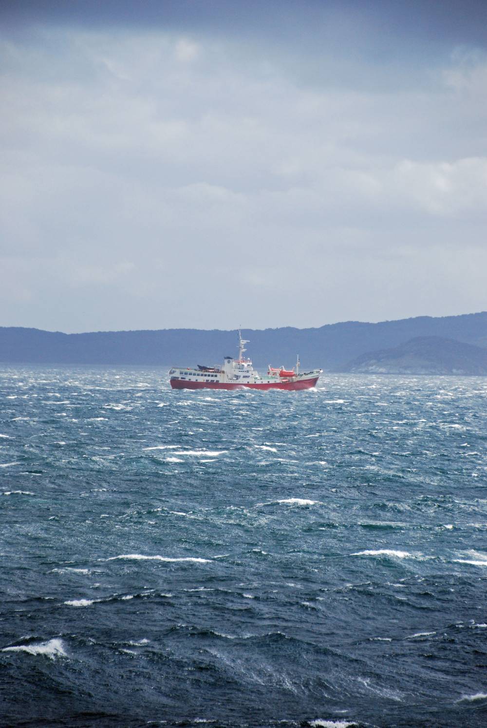 70106 antarctique beagle