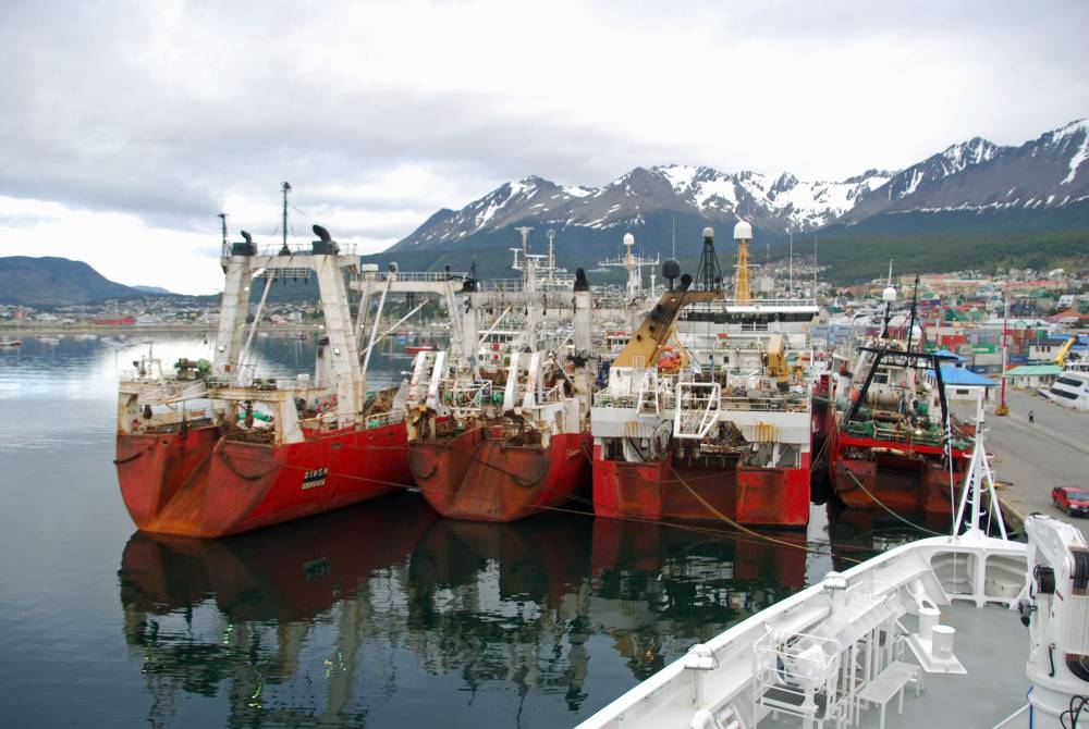 70149 antarctique beagle