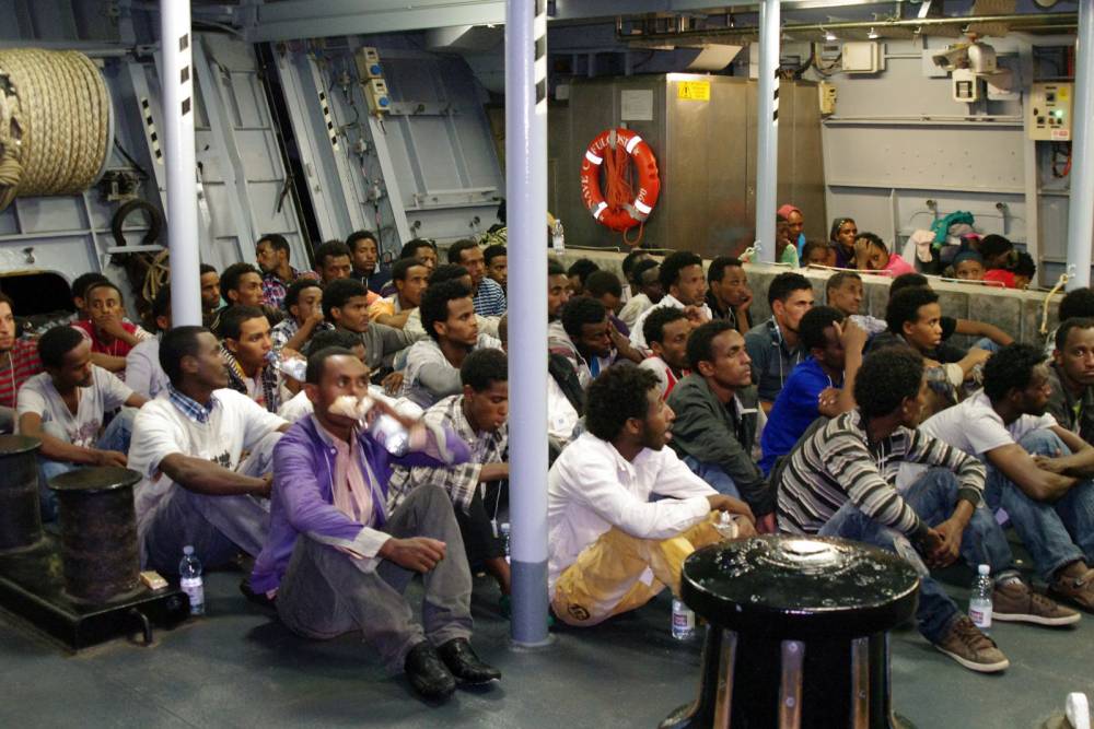76584 migrant