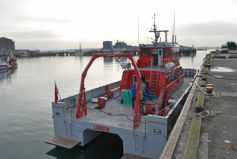 79124 geo surveyor X
