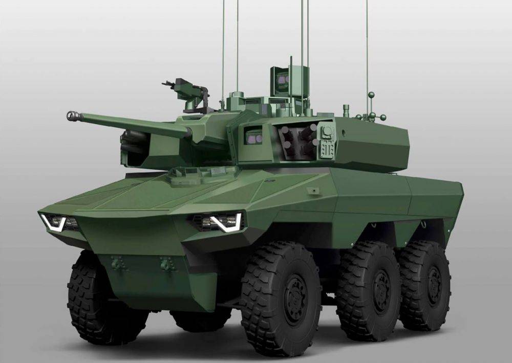 96455 Ebrc jaguar
