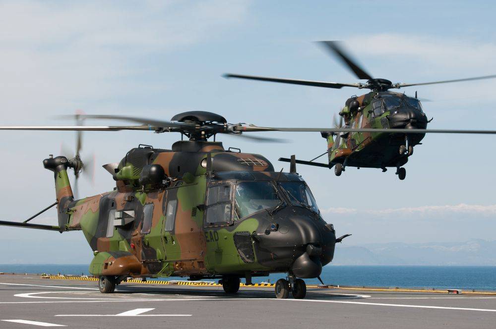 96459 tigre caiman
