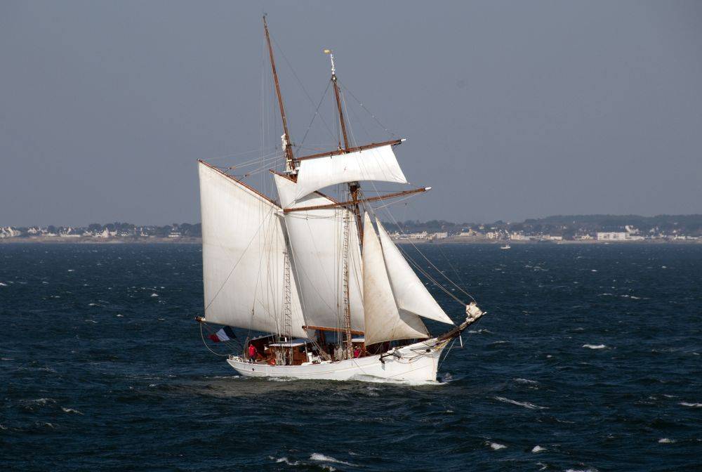 98852 etoile
