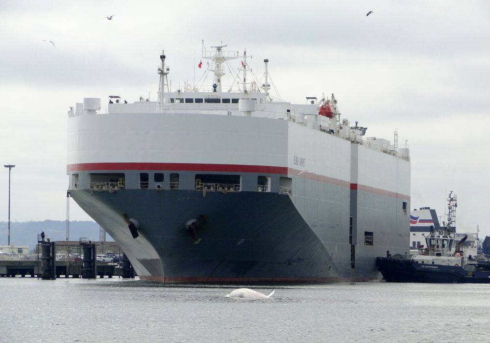 100772 euro spirit car carrier roulier le havre rorqual