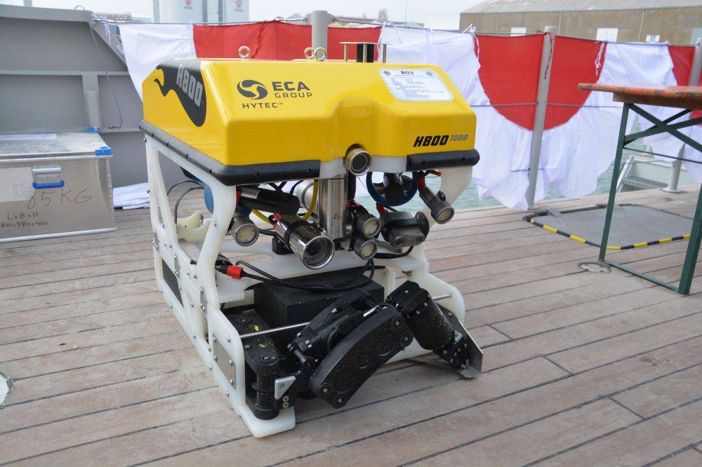 102479 indonésie rigel ocea