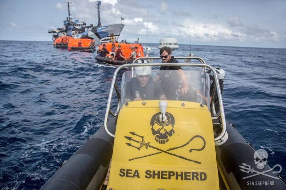 104815 sea shepherd thunder