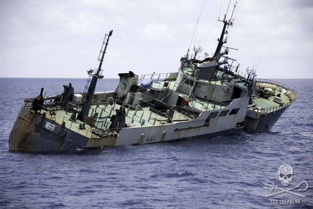 104817 sea shepherd thunder