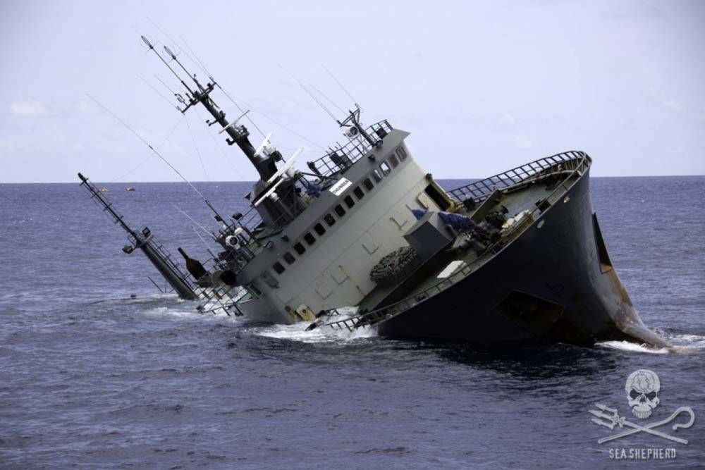 104818 sea shepherd thunder