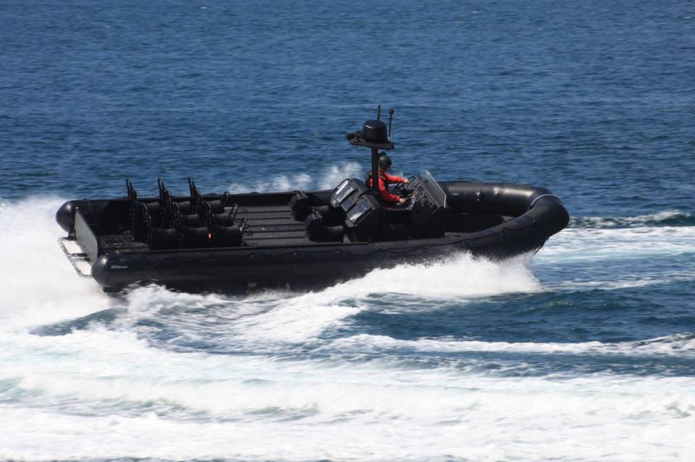 108166 zodiac ecume