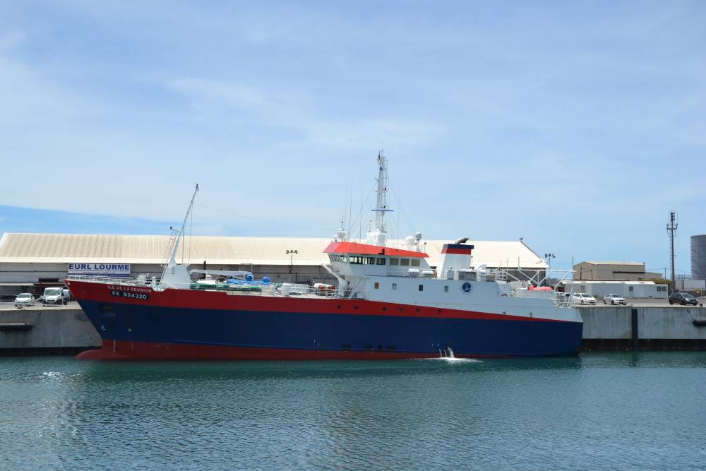 108763 ile de la réunion comata