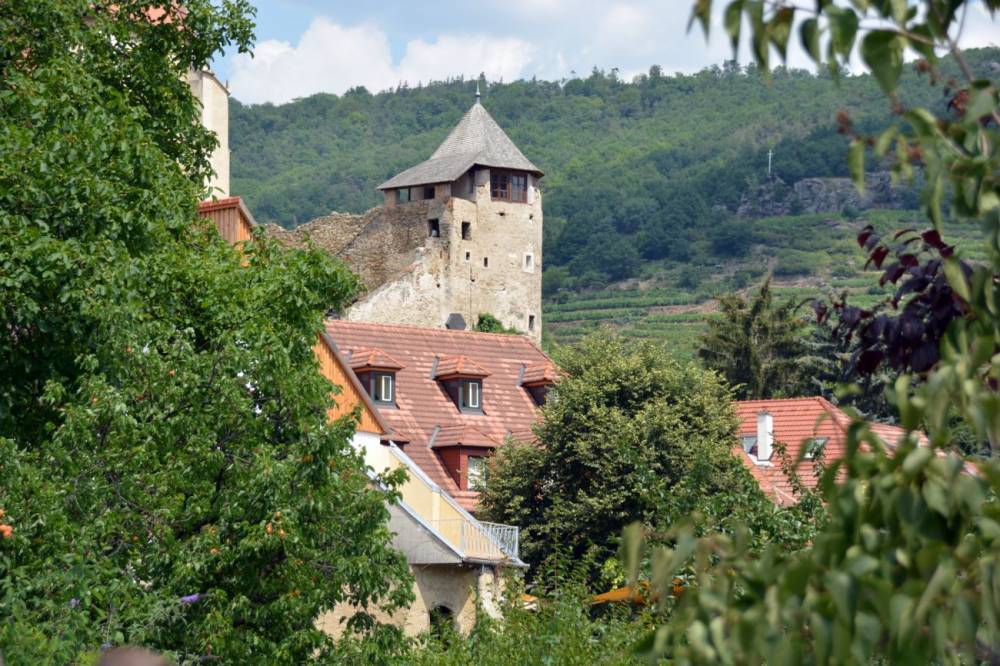 133794 amadeus silver wachau