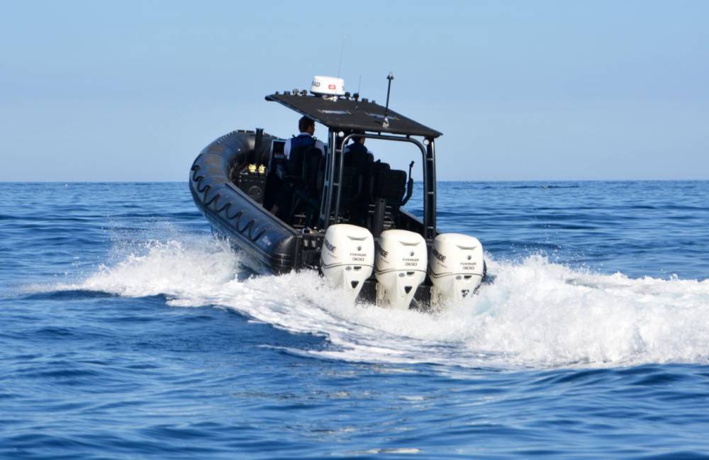 137848 zodiac rosas