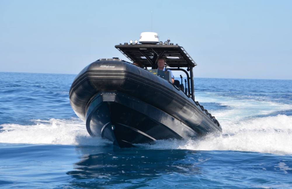 137860 zodiac rosas
