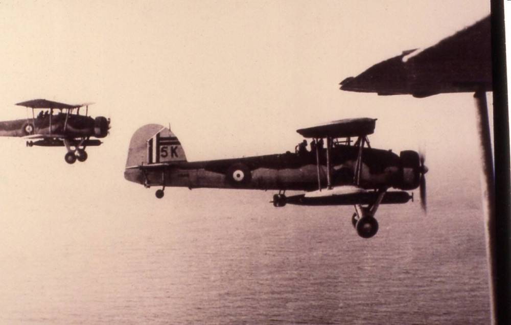 138079 swordfish